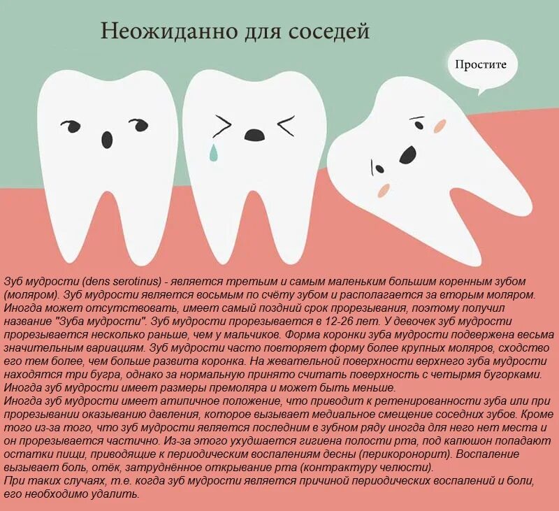 Почему зубы мудрости так называются