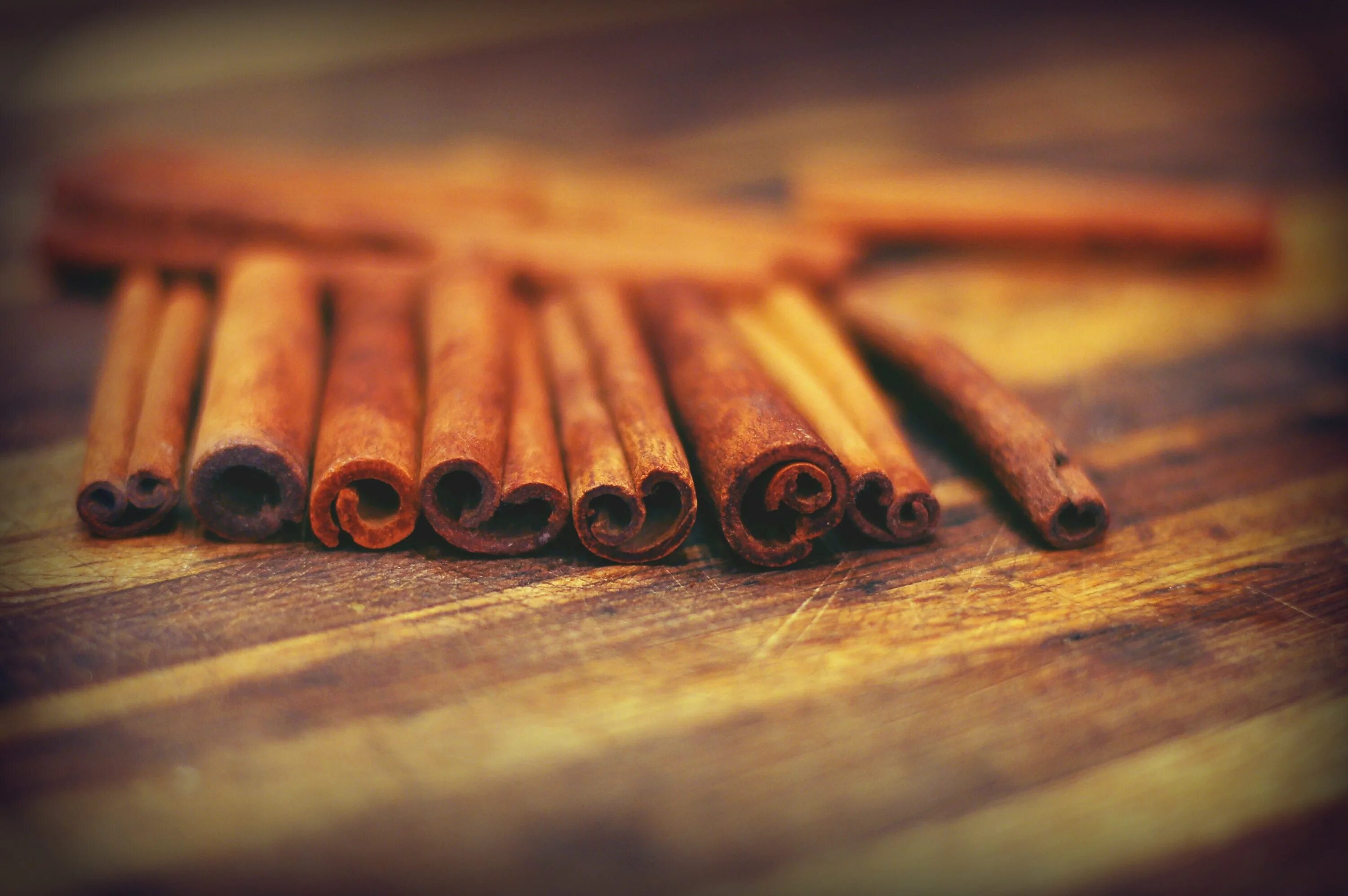 Нежная корица. 5mm cinnamon. корица дерево фото. поджигать корицу. корица на палочке из голландии.