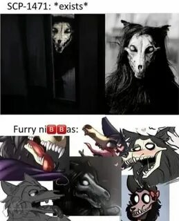 Scp фурри девушки