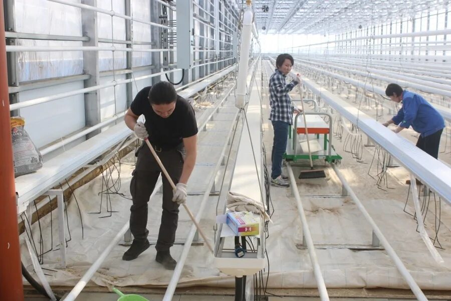 Работа в изобильном