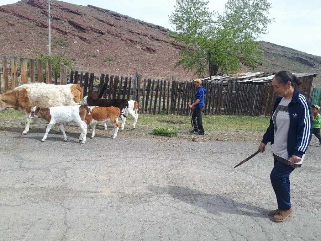 Включи бурен. Четверо в кубе пиратто. Включи бурен. Республика тыва каа хемский кожуун. Село эйлиг-хем.