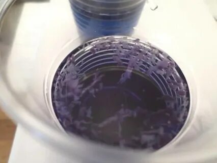 Вода горькая после фильтра