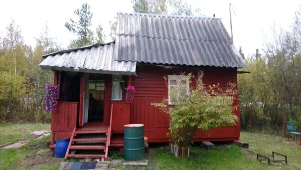 Пупышево ленинградская область снт энергия 2 линия. Снт пупышево оргстрой. Пупышево лесное. Пупышево снт связист. Снт природа пупышево.