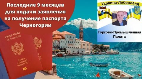 Как получить гражданство черногории