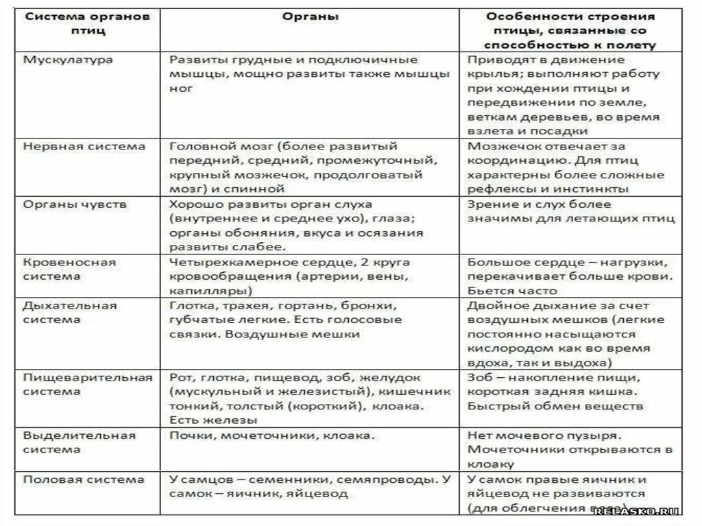 Система органов птиц таблица 7 класс. Таблица по теме внутреннее строение птиц 7 класс биология. Таблица по биологии 7 класс внутреннее строение птиц. Таблица система органов птиц их строение и функции.