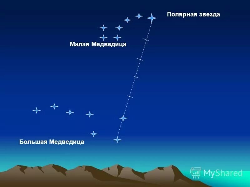 Полярная звезда малой и большой медведицы. Полярная звезда в созвездии малой медведицы. Звёзды большая Медведица Полярная звезда. Звезда большой медведицы Полярная звезда .. Сколько полярных звезд