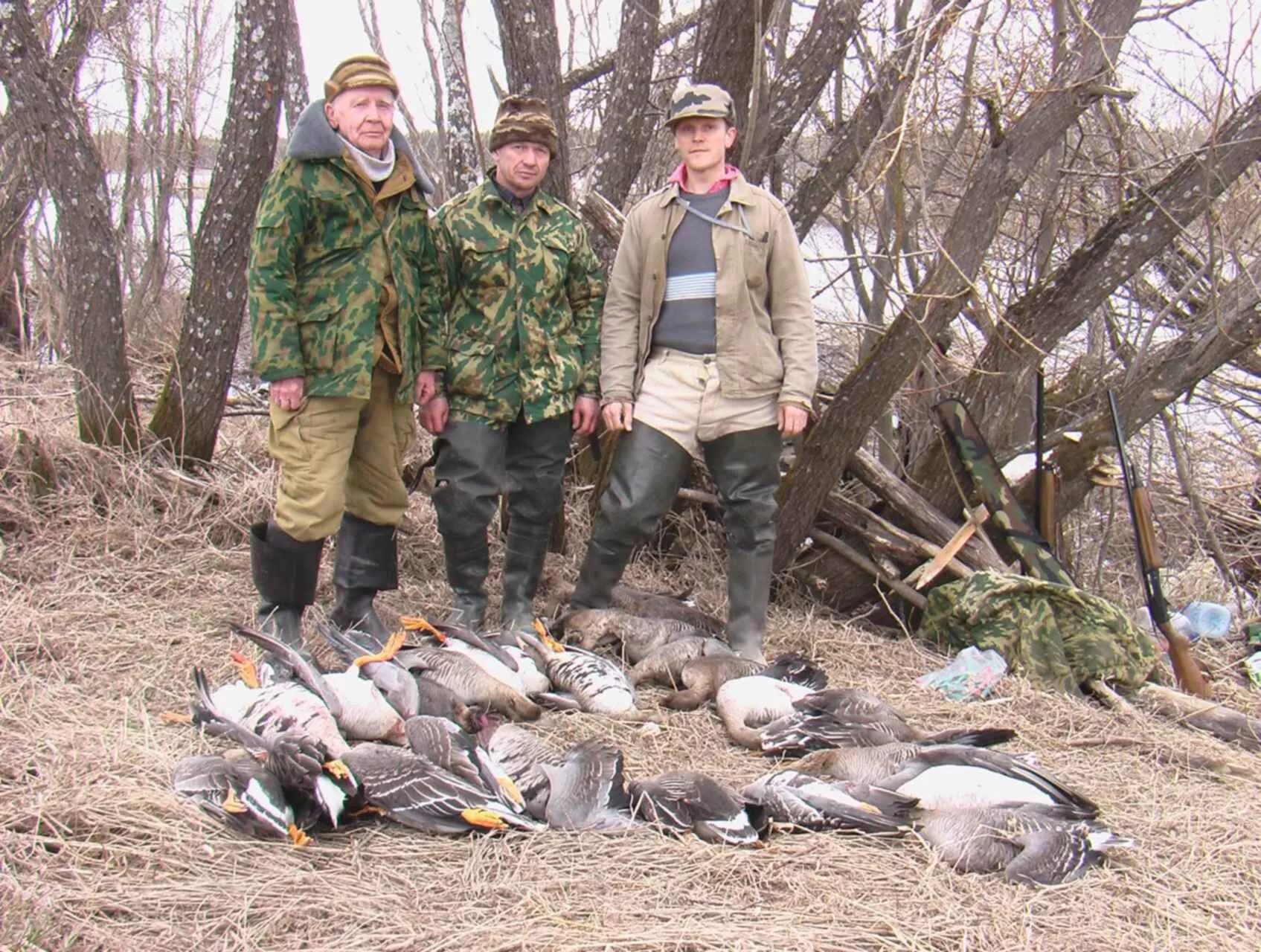 Охота на гуся в Архангельской области 2022. Охота на гусей в Архангельской области на болотах. Охота на гуся на болотах 2022 год. Весеннее открытие на утку