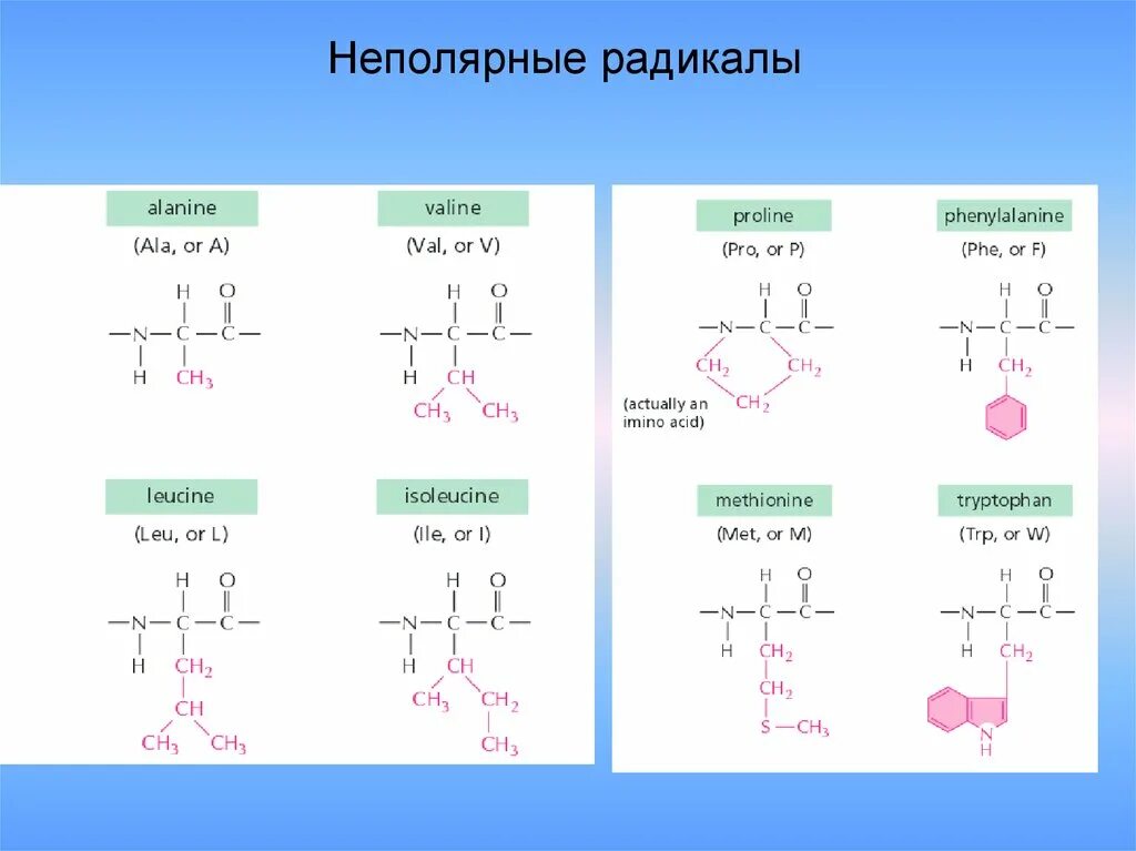 Система радикалов. Аминокислоты с неполярным углеводородным радикалом. Неполярные радикалы. Неполярный углеводородный радикал. Полярные и неполярные радикалы.