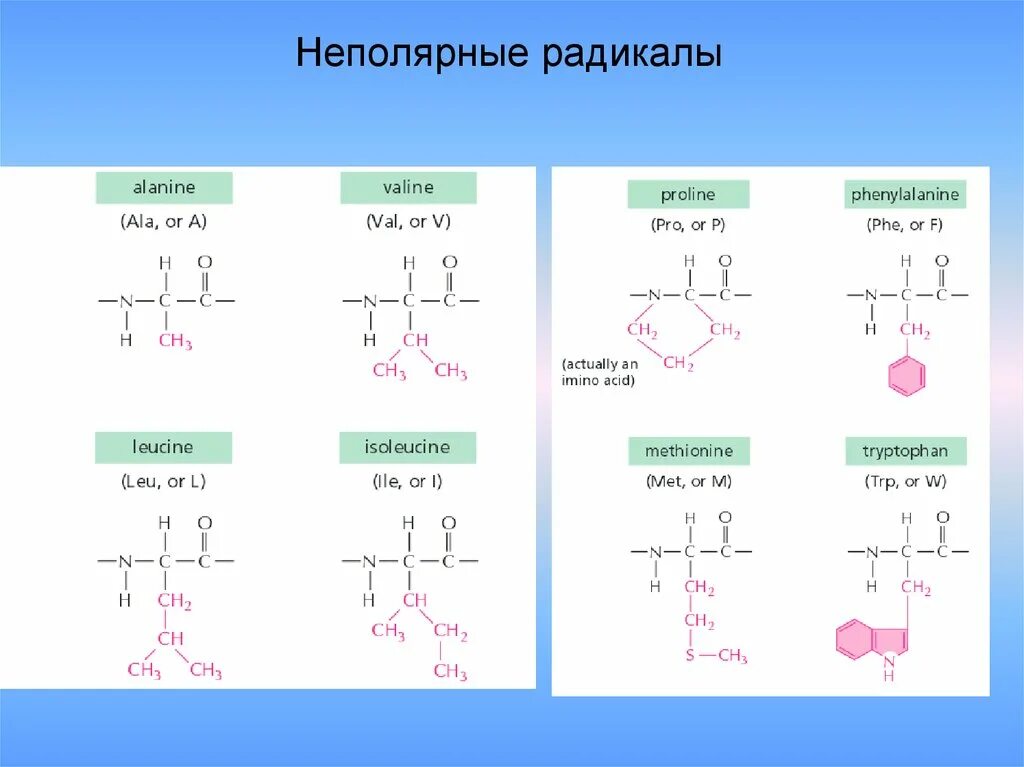 Система радикалов