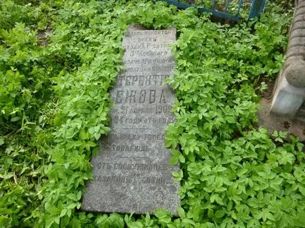 Могила дон