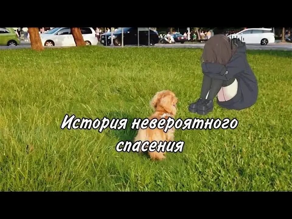 Не оставит равнодушными ни. Не оставит равнодушными ни