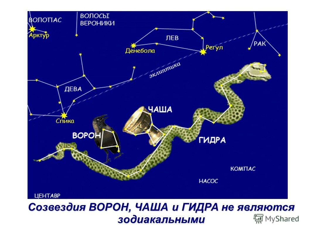 Об 1 из созвездий весеннего неба. Весенние созвездия. Созвездия весеннего неба. Созвездие гидра. Весенние созвездия и звезды.