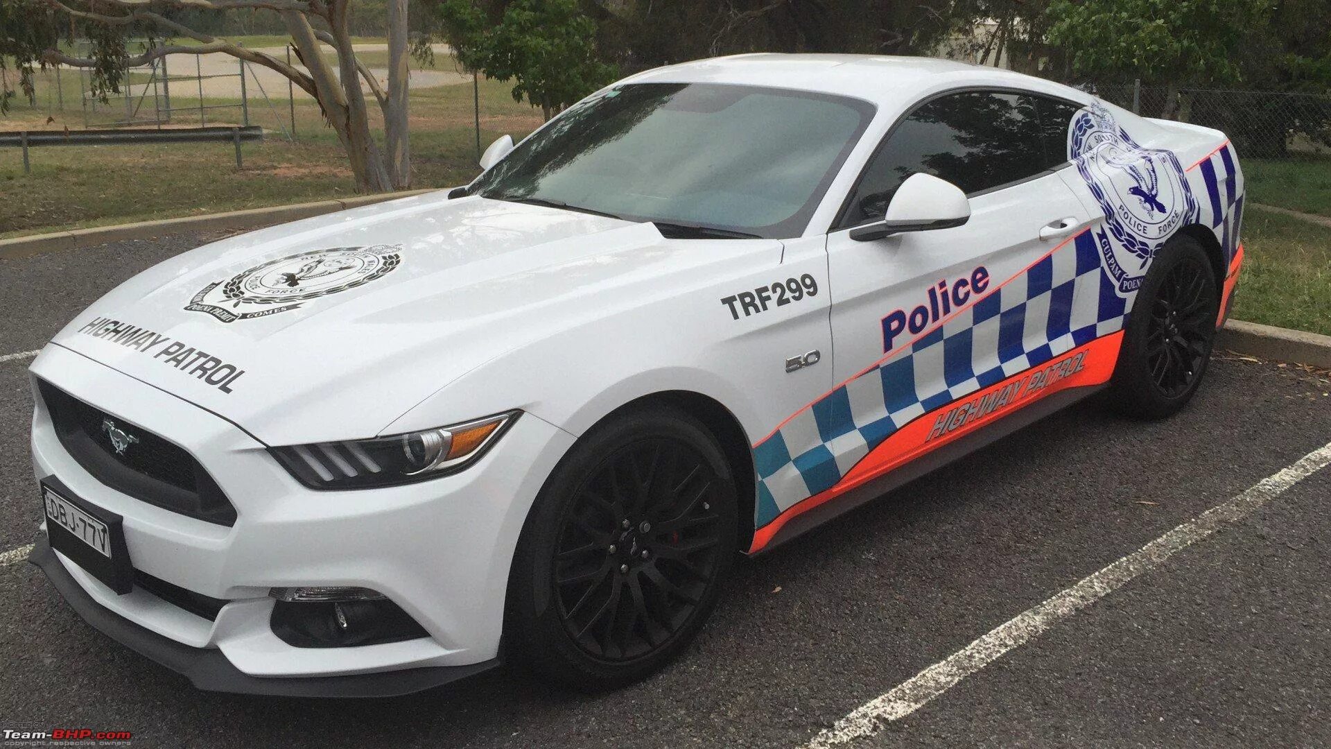 Полицейский мустанг. Форд Мустанг Police. Форд Мустанг полиция. Ford Mustang gt Police. Дубай полиция Форд Мустанг.