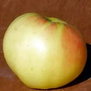 Яблоня детское