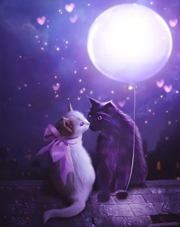 Доброй ночи романтично. Волшебная ночь. Волшебный вечер. Доброй ночи. Волшебные коты.