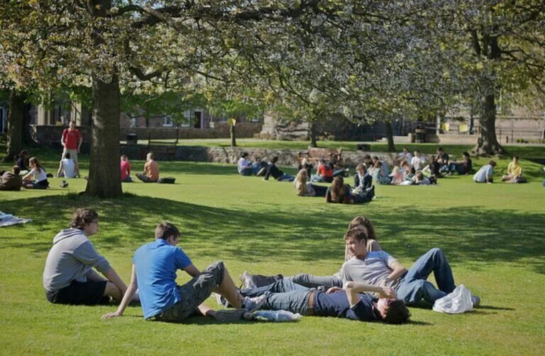 Student park. Студенческая жизнь в Америке. Студенты на газоне. Студенты на лужайке. Люди на лужайке в парке.