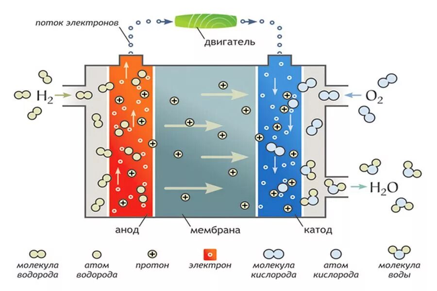 Водородные энергетические элементы. Топливный элемент на водороде принцип работы. Принцип работы водородного двигателя на топливных элементах схема. Топливная ячейка на водороде. Топливные элементы с протонно-обменной мембраной.