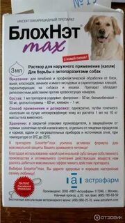 Можно ли собакам капать
