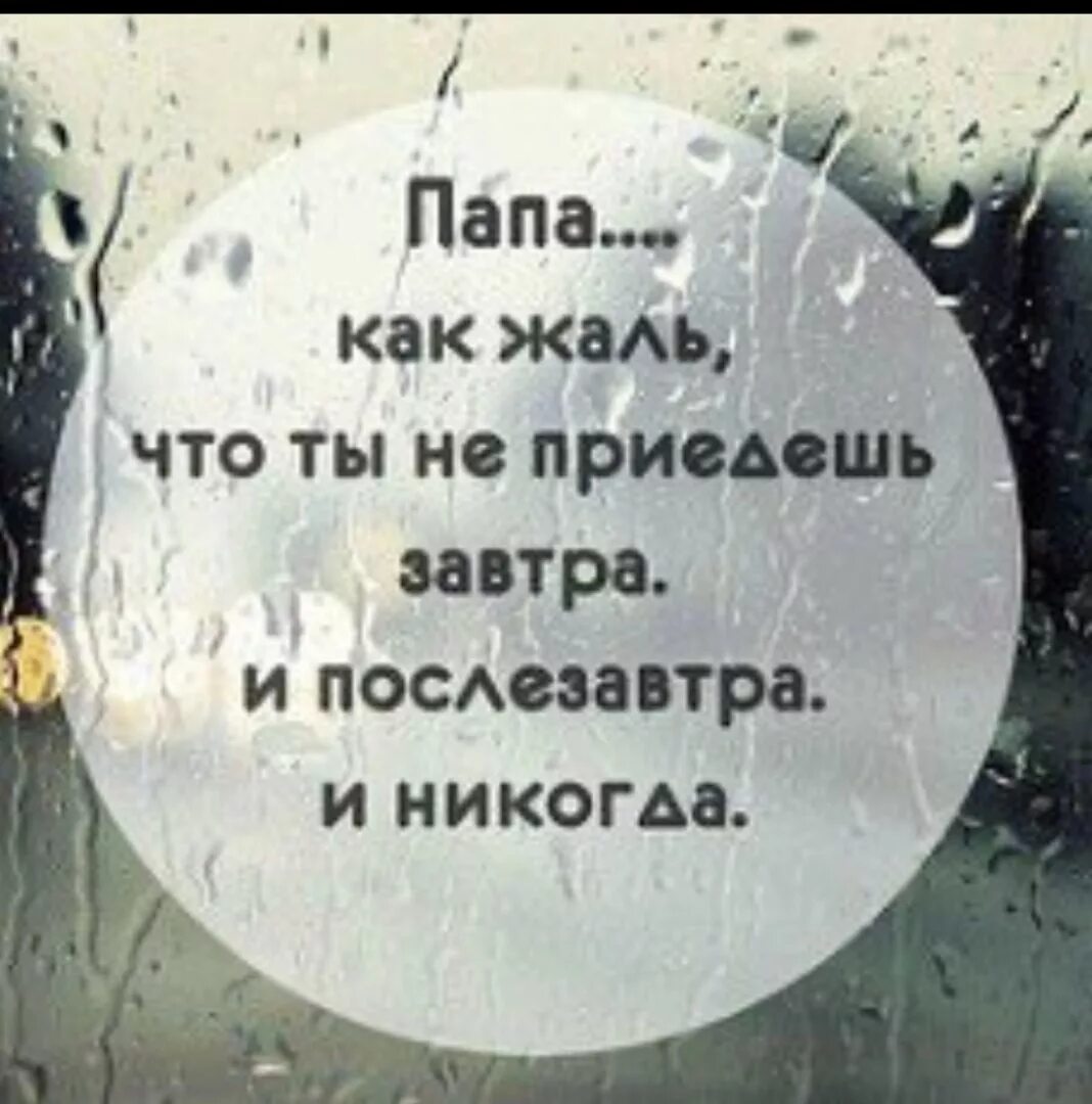 Статусы про папу. Стихи о папе которого нет. Цитаты про папу которого нет. Про папу которого нет в живых. Папа я больше так не буду