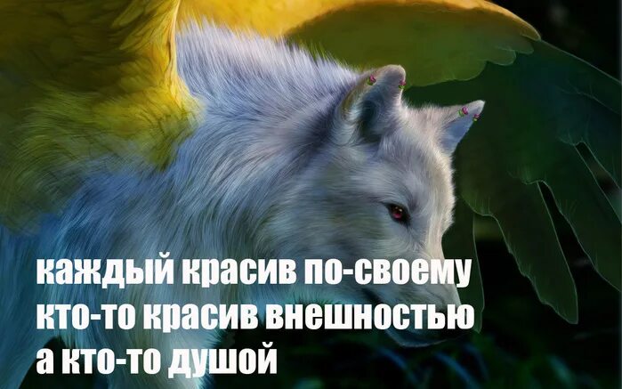 Каждый красив по своему. Кадый красив по своему. Каждый человек красив по своему. Каждый прекрасен по своему. Каждый краше другого