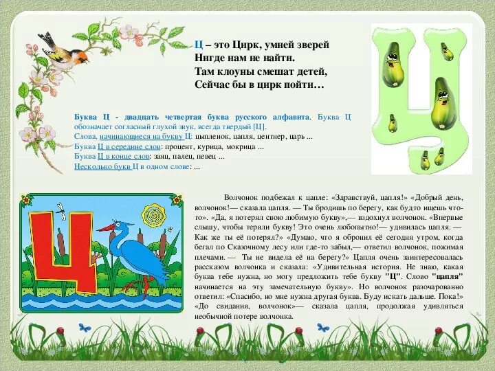 Составить ц. Сказка про букву ц. Буква ц проект. Стих про букву ц. История про букве "ц".