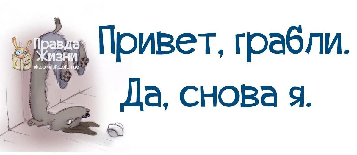 Снова здравствуй читать. Привет грабли это снова я. Привет грабли. И снова привет. Привет грабли да снова я картинка.