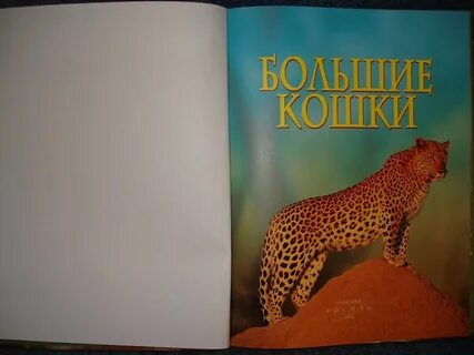 Семейство кошачьих книга