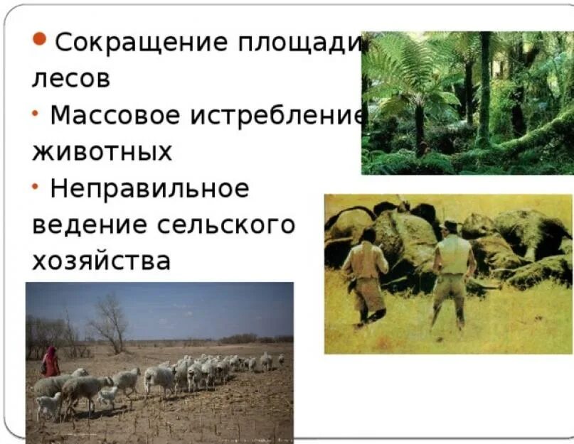 Изменение природы под воздействием человека. Влияние человека на природу Африки. Влияние человека на природу Африки 7 класс. Неправильное ведение сельского хозяйства. Истребление животных Африки.