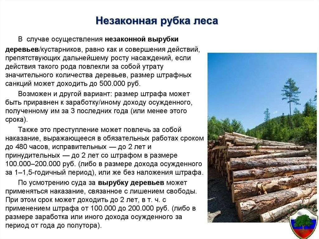 Сколько вырубили деревьев