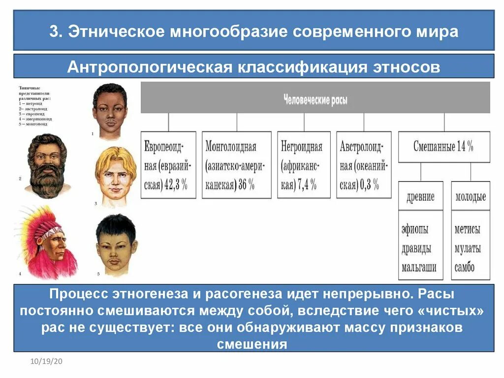 Этнический слой. Этническое многообразие современного. Классификация этносов. Человеческие расы. Этнические группы.