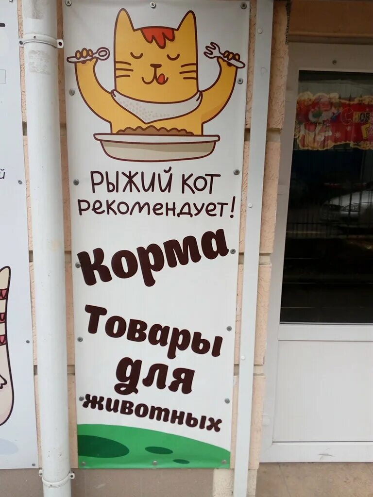 Ветклиника рыжий кот севастополь. Ветклиника севастополь острякова. Центр рыжих. Ветклиника рыжий кот севастополь. Рыжий кот в ветклинике.