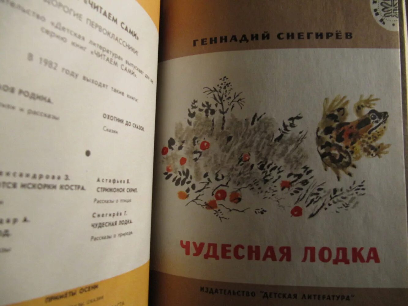 О чем произведение чудесная лодка. Советские книги о природе и животных. Снегирев г. О чем произведение чудесная лодка. Рисунок к рассказу чудесная лодка.