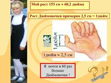 5 3 дюйма в см рост