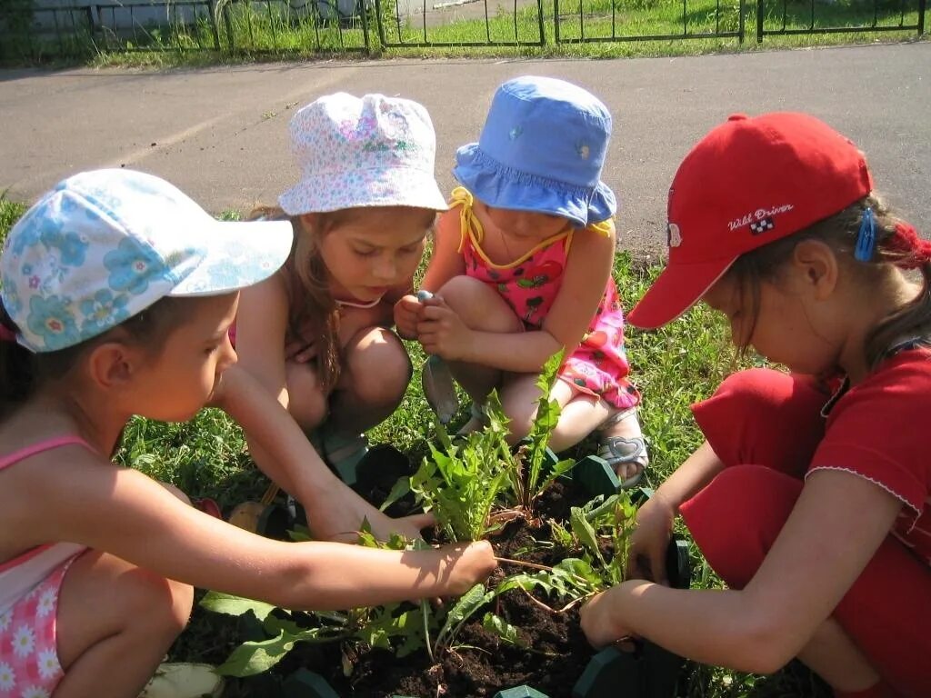 Ознакомление детей с природой. Природа для дошкольников. Труд детей в природе в детском саду. Трудовое воспитание в детском саду. Мероприятия в день труда в доу