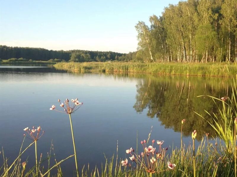 село стремилово чеховского района храм. стремилово чеховский. стремилово чеховский. водоем стремиловское чеховский район. стремилово московская область чеховский район.