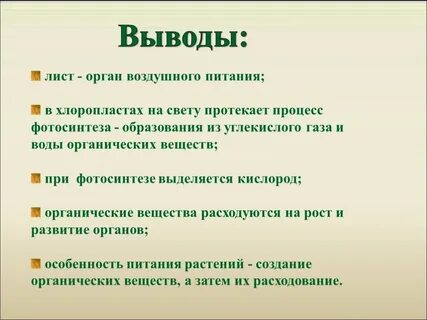 Зеленый лист орган воздушного
