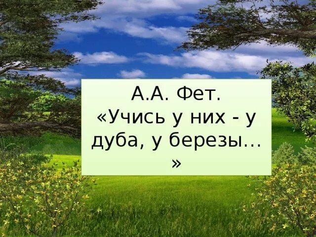 Стихотворение фета учись у дуба. Стихотворение фета учись у дуба. Стих учись у них у дуба у березы. Стихотворение фета учись у дуба. Стихотворение фета учись у дуба.