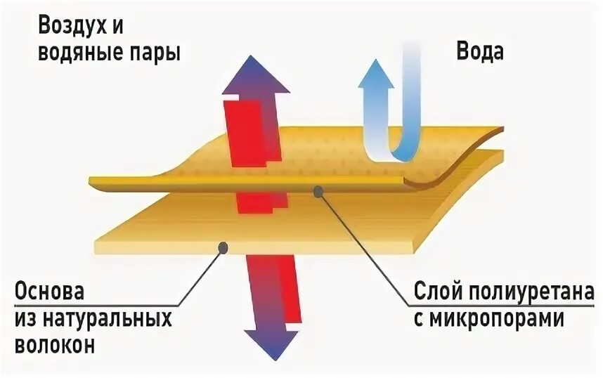 Основные этапы производства искусственной кожи. Технология производства искусственной кожи. Технологии производства искусственной кожи и её свойства. Особенности производства искусственных кожи.