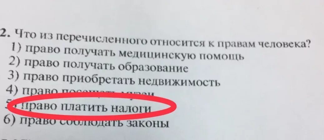 Право человека на образование относится к правам. Что из перечисленного относится к правам человека. Право юмор. Международное право юмор. Налоги юмор.