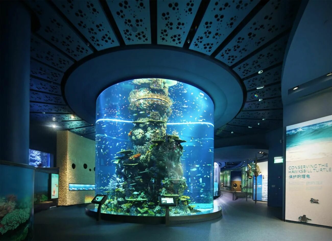 Marine aquarium. Marine Life Park, Сингапур. Сингапур Сентоза океанариум. Океанариум в Сингапуре s.e.a. Aquarium. Сентоза парк морская жизнь Сингапур.