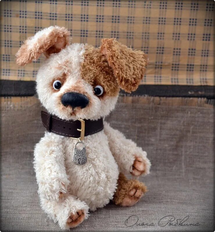 собака тедди беар. собака тедди беар. собака тедди беар. тедди фиби собака порода. пудель тедди беар щенок.