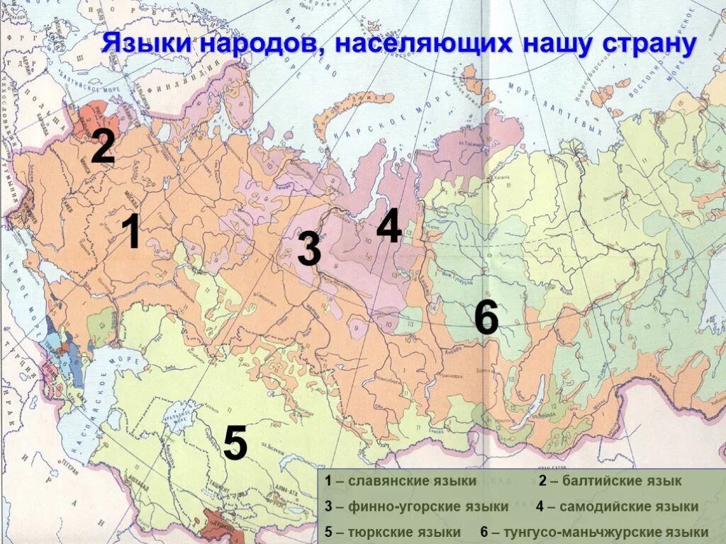 Языковые семьи России карта. Карта языковых семей России. Лингвистическая карта России. Карта языков народов России. Карта проживания народов россии