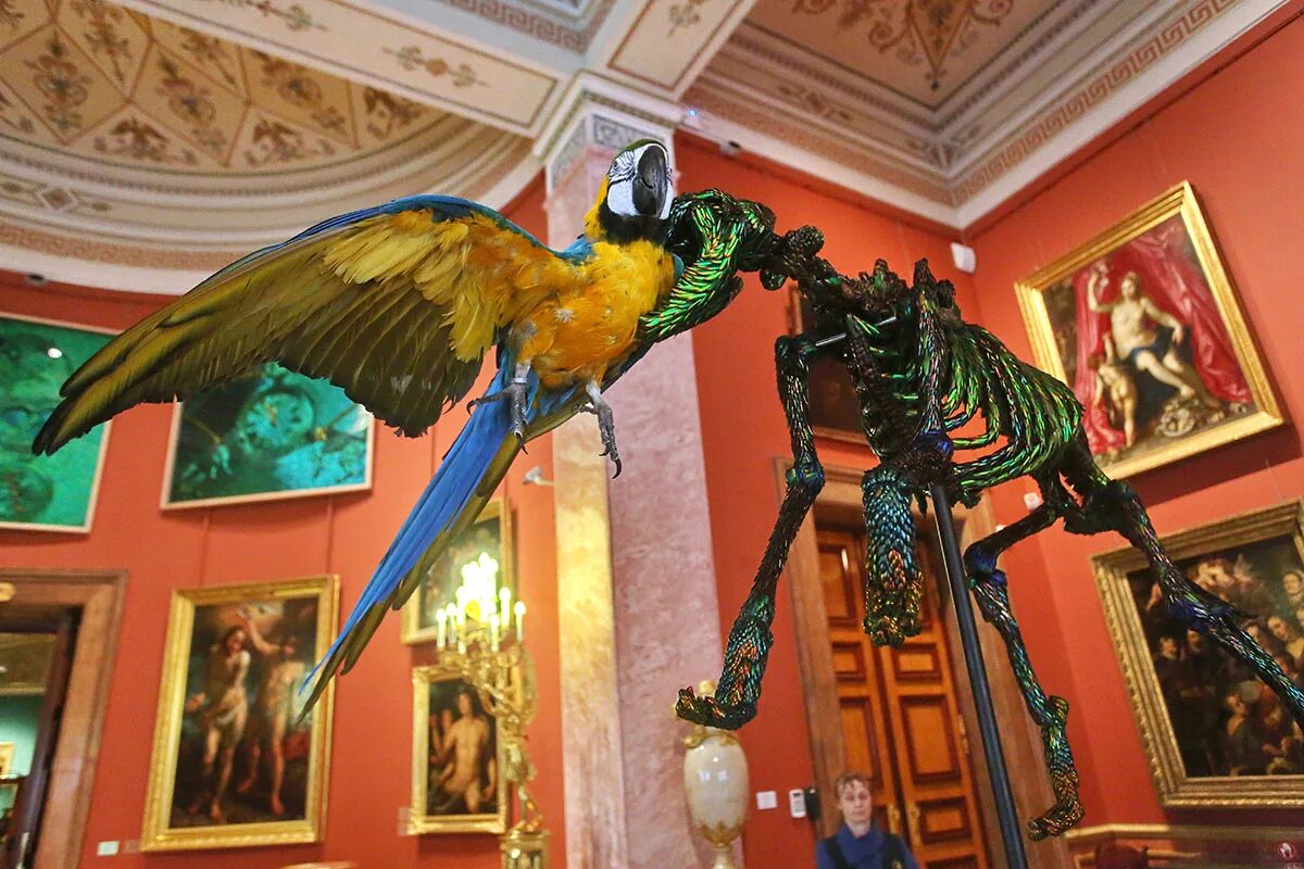 художник ян фабр эрмитаж. ян фабр в эрмитаже. эрмитаж животные. выставка яна фабра в эрмитаже. эрмитаж животные.