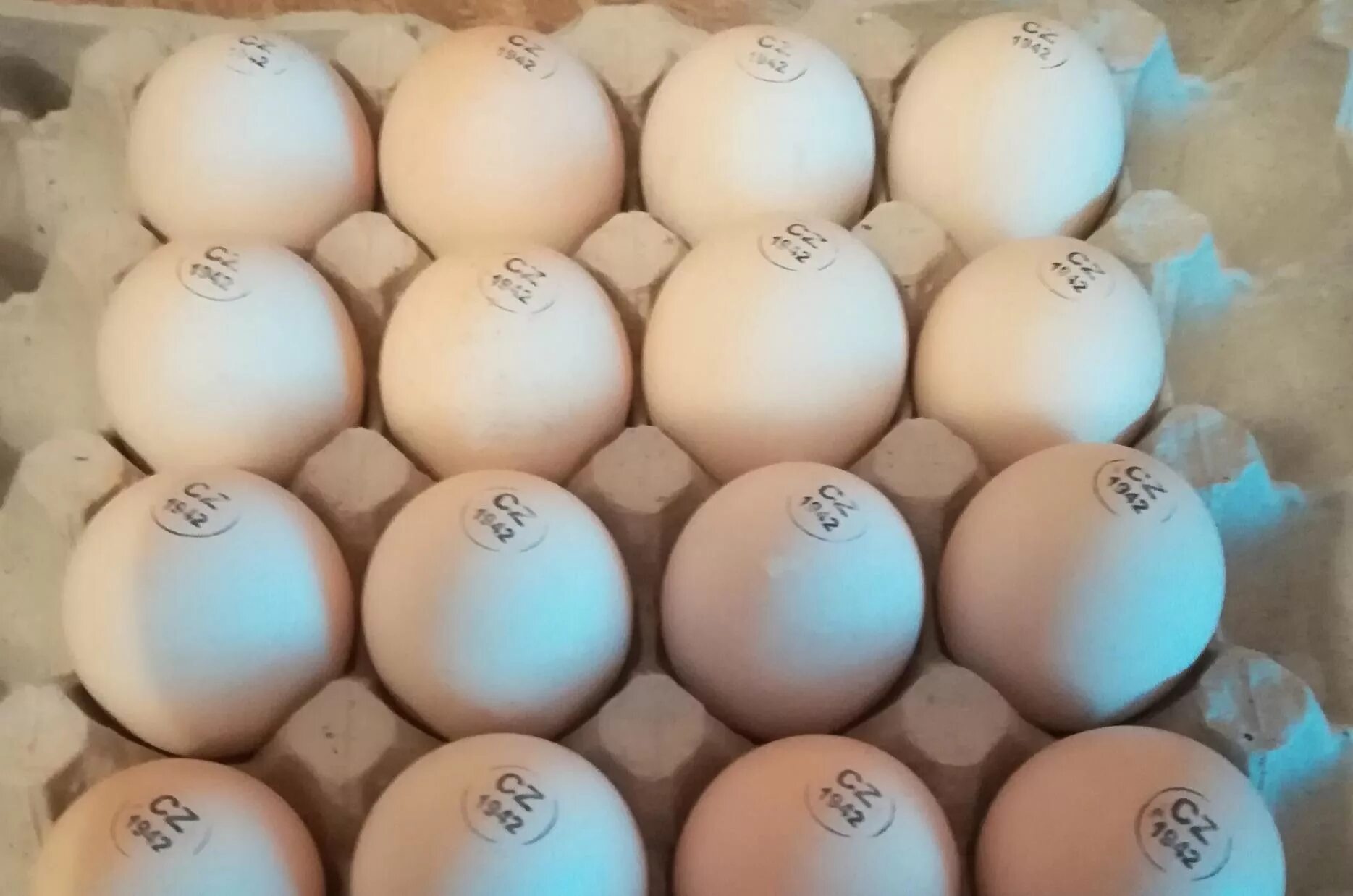 Инкубационное яйцо купить с доставкой по россии. Инкубационное яйцо Кобб 500 Чехия. Яйцо Кобб 500 Чехия. Инкубационное яйцо Росс 308 Чехия. Маркировка инкубационного яйца Кобб 500 Чехия.