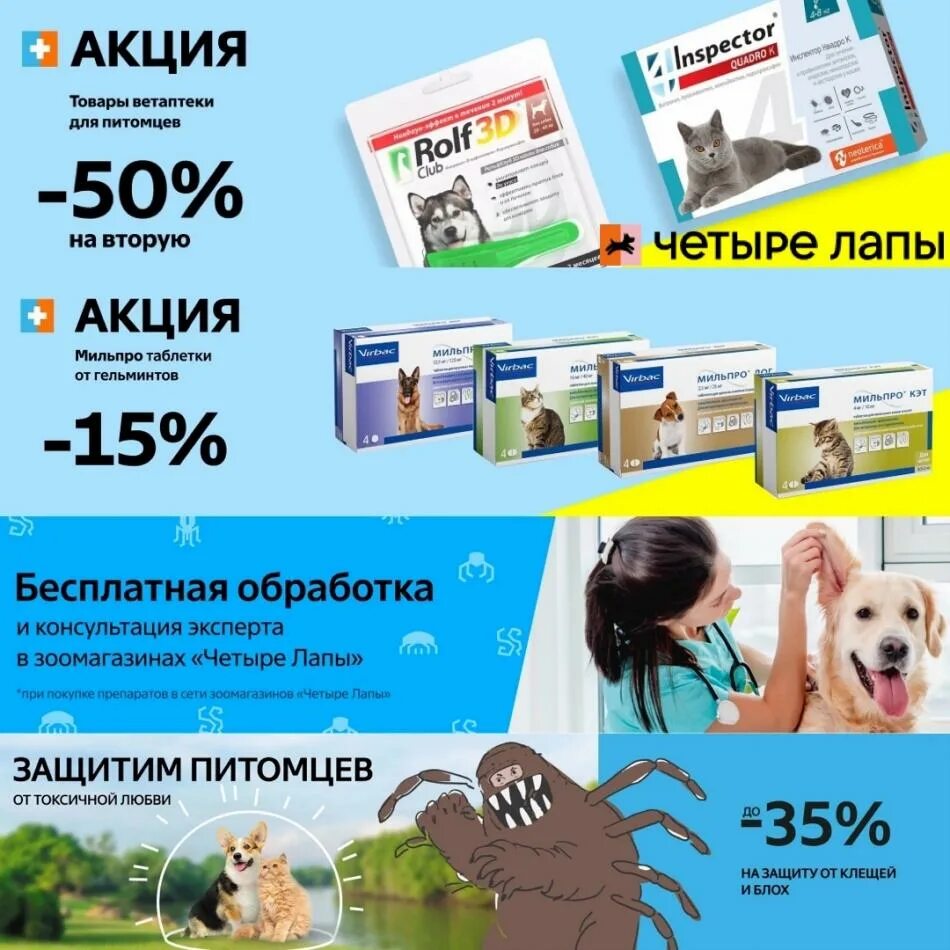 Акция четыре лапы. 4 Лапы Волгоград. Магазин четыре лапы Волгоград. Четыре лапы Волгоград интернет магазин.