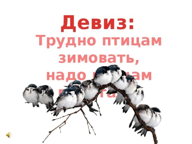 Девиз птиц. Лозунги про птиц. Девиз про птиц. Слоганы про птиц. Лозунги берегите птиц.