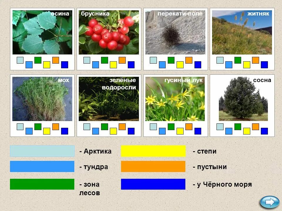 Игры природные зоны россии