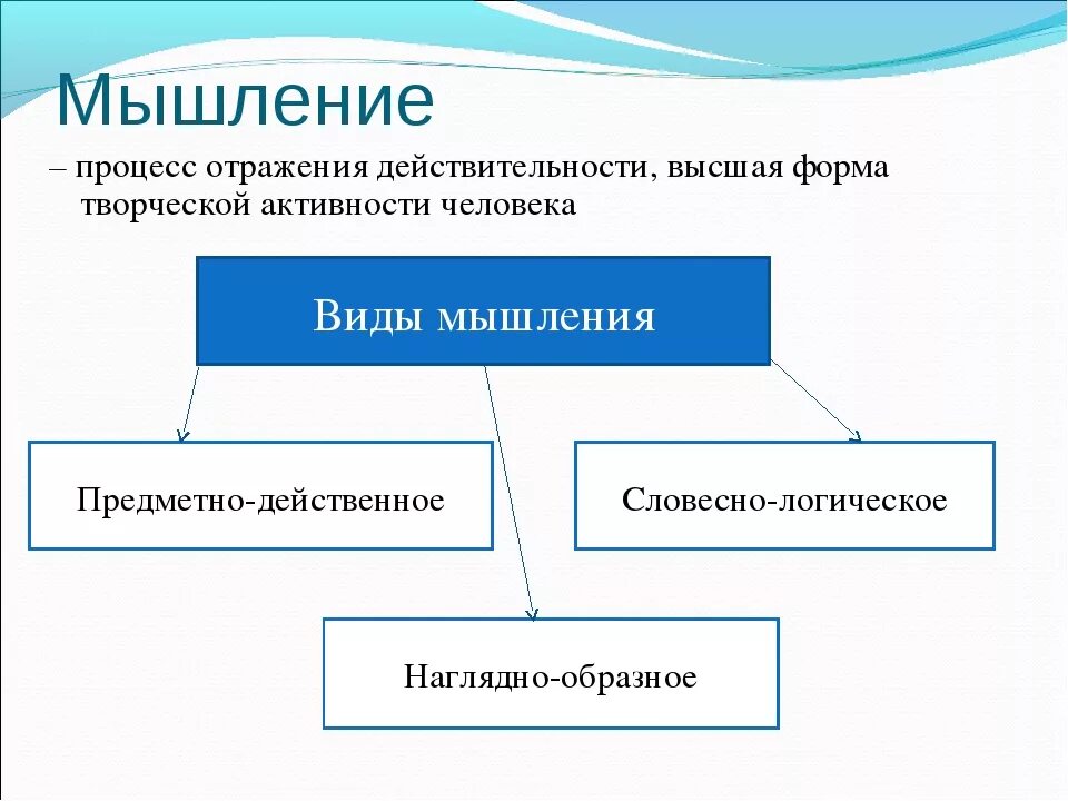 Высший процесс познавательной деятельности человека