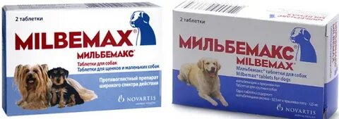Антигистаминные для собак