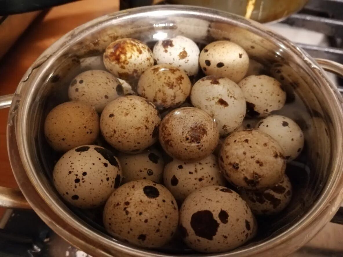 Сколько надо варить перепелиные. Перепелиные яйца вкрутую. Перепелиные яйца всмятку. Вареные перепелиные яйца. Яйцо перепелиное.